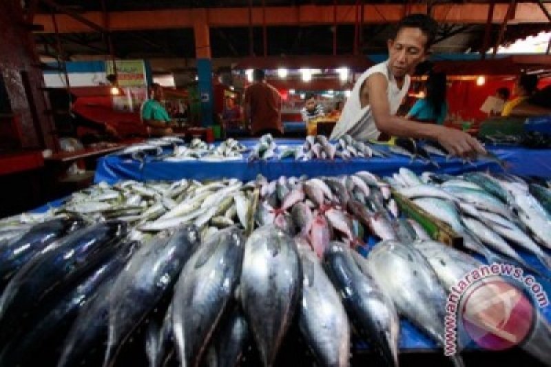 Panggalih Fish Store: Raja Ikan Segar di Jantung Cilacap